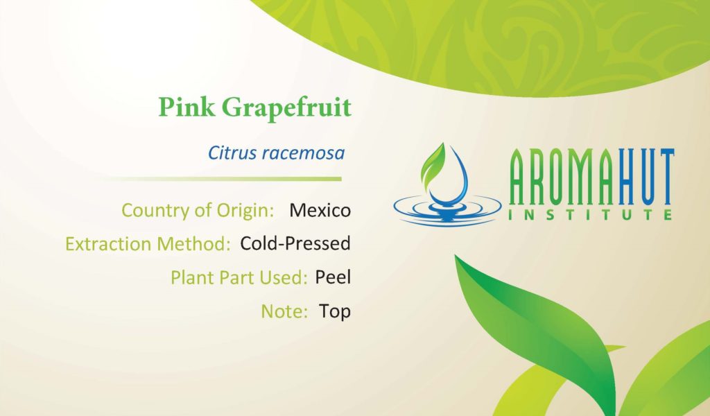 Master Aromatherapy Essential Oil Name Card Level 2 Grapefruit